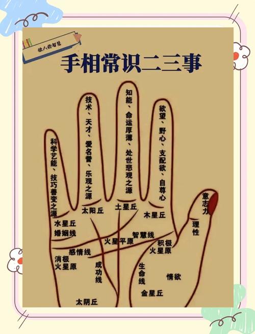 Palm reading lines diagram and meaning