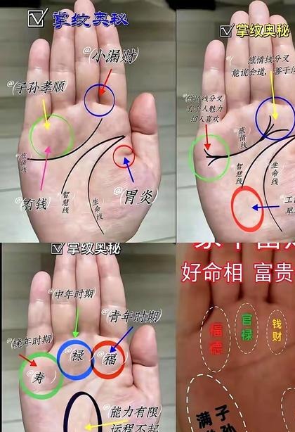 Free Palm Reading Guide - Chinese Palmistry Secrets