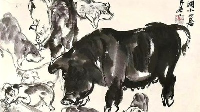 Pig