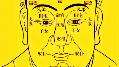Face Reading Basics