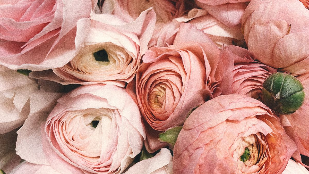 Feng Shui Love Corner - Attract Romance