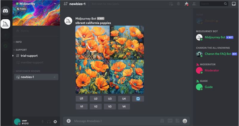 Discord 界面介绍插图