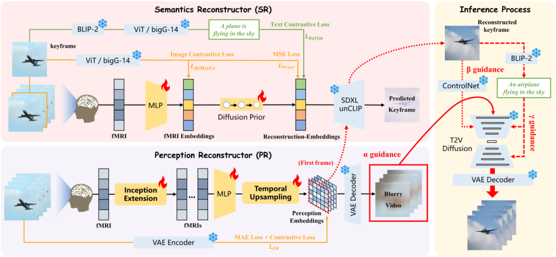 NeurIPS 2024 Oral | 还原所见！揭秘从脑信号重建高保真流畅视频插图1