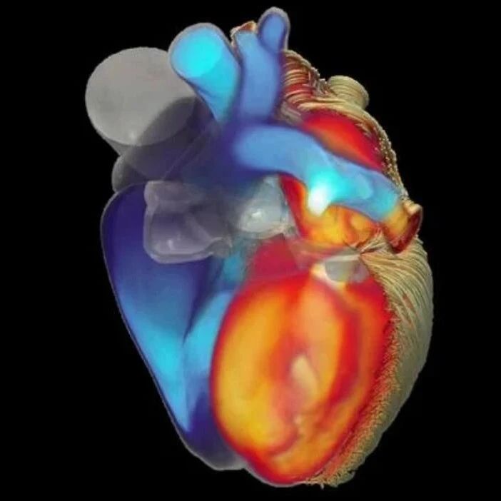 世界首次！智源研究院实现数字孪生心脏电功能超实时仿真-龙跃AI