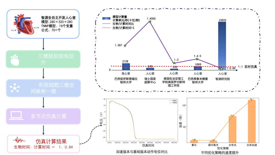 世界首次！智源研究院实现数字孪生心脏电功能超实时仿真插图