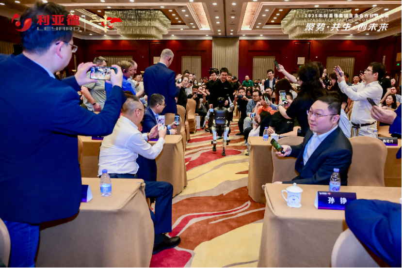 虚拟动点助力“利亚德集团2025年生态合作伙伴大会”圆满落幕插图1 图片